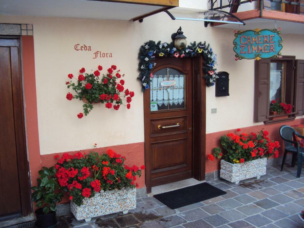 La Casa Di Beppe Appartamento E Camere Danta Ngoại thất bức ảnh